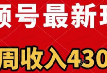 银狐宝库用户专享:视频号最新玩法,一周收入4300+-银狐宝库官方网站